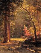 Albert Bierstadt Dogwood by Albert Bierstadt painting